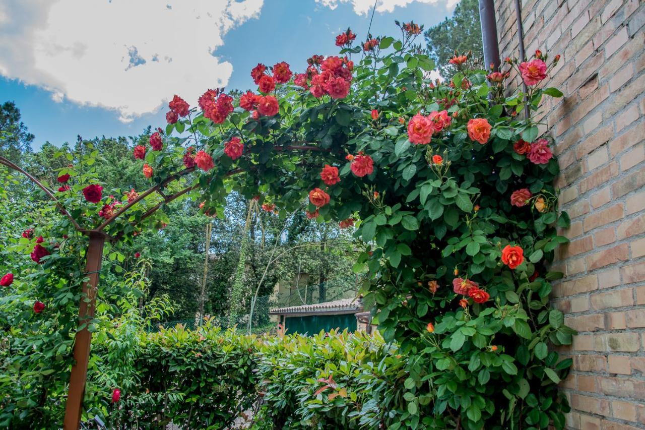 I Due Cipressi Konuk evi Torrenieri Dış mekan fotoğraf
